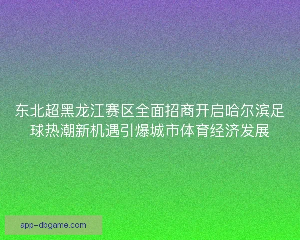 东北超黑龙江赛区全面招商开启哈尔滨足球热潮新机遇引爆城市体育经济发展